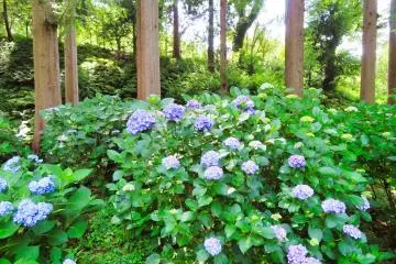Yokohama Children's Botanical Park near main entrance