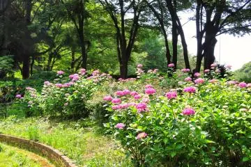 Yokohama Children's Botanical Park upper trail