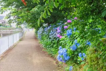 Hiradongaya River near Hirado