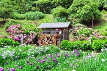 Water Wheel