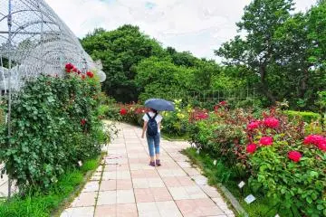 Odawara Flower Garden Rose Garden