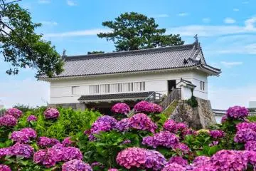 One of the Museums at Odawara Castle Park