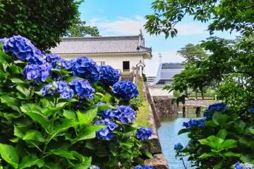 Odawara Castle Copper Gate
