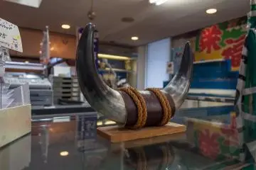 <p>A part of Oki's rich culture that you can check out in the shop (these are real bull horns)</p>
