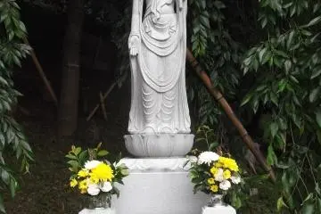 On the hill behind the temple