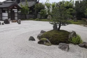 Contemplate in the garden