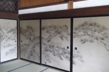 Painted screen doors
