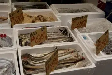 Unagi (eel) is very popular in Japan