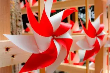 Special pinwheels in 2019