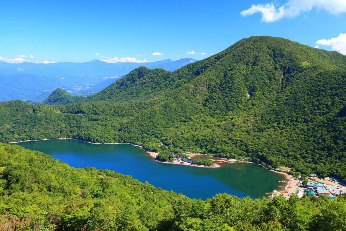 저작권:  Summery greenery on Mount Akagi – Norikazu / Shutterstock.com