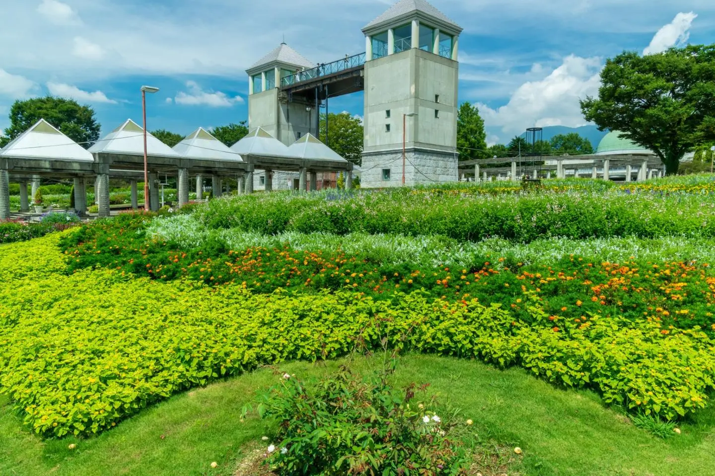 저작권:  Summer flowers at Gunma Flower Park – Ikko Sato / Shutterstock.com