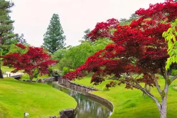 Hamamatsu Botanic Garden