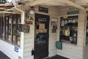 Curio shop