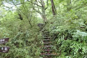 Old Tokaido Road