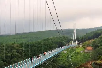 Sky Walk