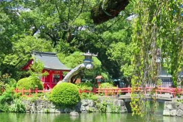 Taisha Shrine