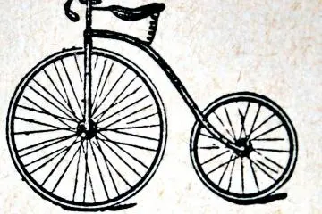 Art Scene with Bicycles 2021