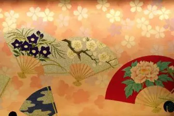 Images of fans on a theatre curtain