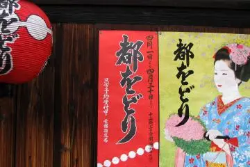 An image of a maiko with a flower uchiwa 