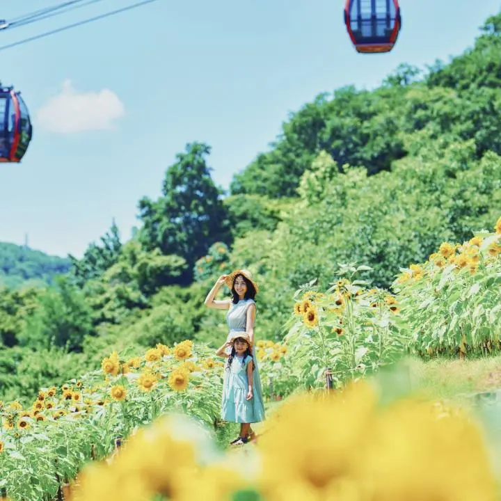 Summer Garden Fest 2026 - Events in Hyogo - Japan Travel