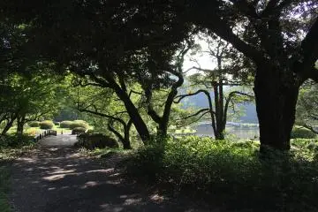 Garden shadow