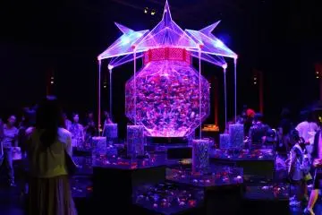 An aquarium exhibit in Tokyo