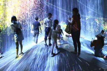The TeamLab Borderless Digital Art Museum is impressive!