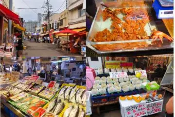Exploring Hakodate Morning Fish Market