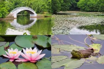 Shimameguri-no-Michi trail