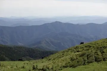 Tengu Kogen