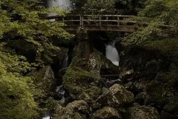 Go exploring. You never know what else you might find. (Photo: <a href="https://picasaweb.google.com/head.philip/TenguHighlands" target="_blank" rel="noreferrer noopener nofollow">Philip Head</a>)