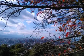 Vantage point view from Castle   