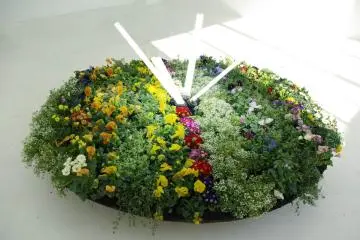 Part of the exhibition focuses on the idea of humans disappearing, and nature slowly taking over