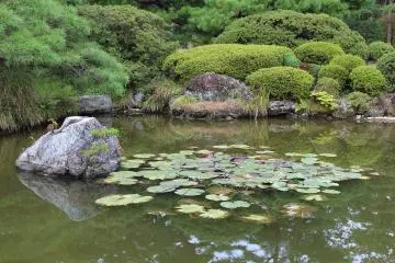 The Japanese Garden