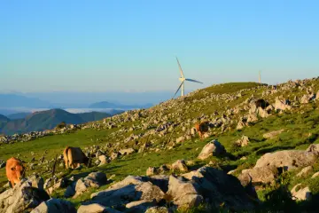 Wind power, natural power