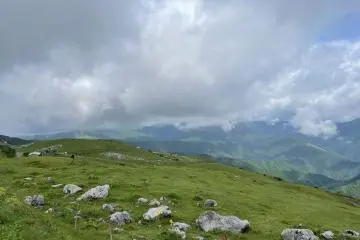 An almost-European landscape