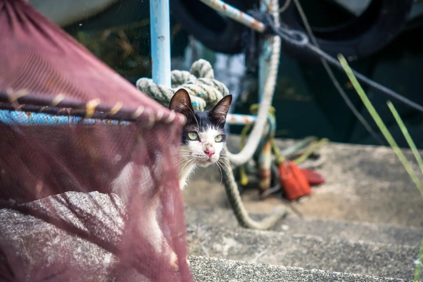 Photo: torne / CC BY 2.0