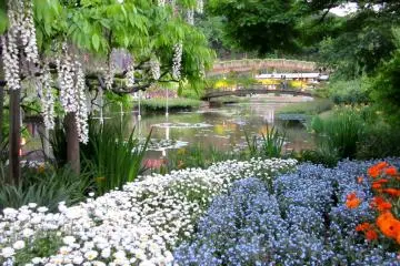 Ashikaga Park in May