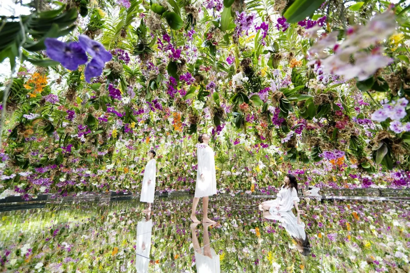 Photo: teamLab Planets