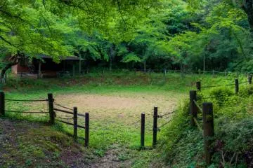 A small venue for traditional contests