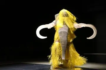 Hibino's costumes have been used in theater, dance, TV, and movies