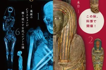 Six Stories of Ancient Egypt 2021-2022