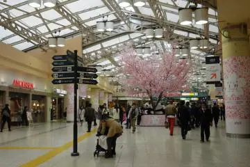 Atré Ueno