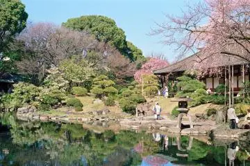 Sakura season at Denboin Garden (Photo: <a href="https://www.flickr.com/photos/dreamylyricist/16532702364" target="_blank" rel="noreferrer noopener nofollow">shuzo serikawa</a> / <a href="https://creativecommons.org/licenses/by-sa/2.0/" target="_blank" rel="noreferrer noopener nofollow">CC BY-SA 2.0</a>)