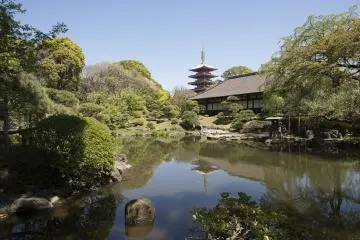 Sensoji's 5 storied pagoda can be seen in the background