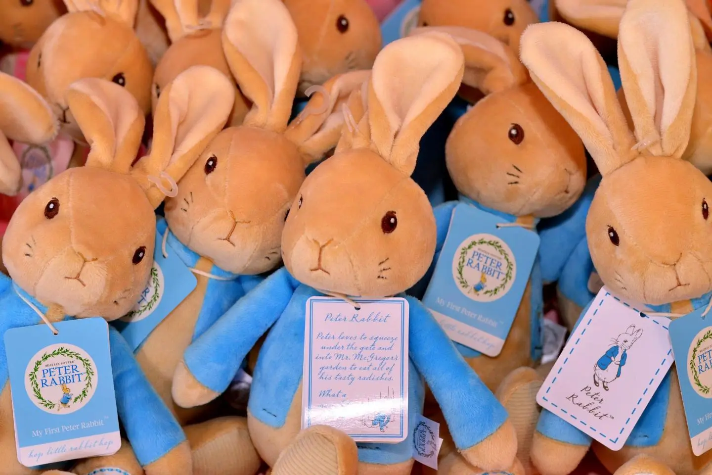 Peter Rabbit's 120th Anniversary Exhibition 2022