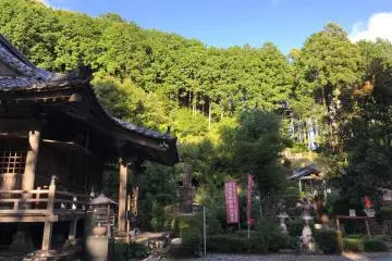 The hill behind the Medical Buddha hall; this is where the temple bell is located