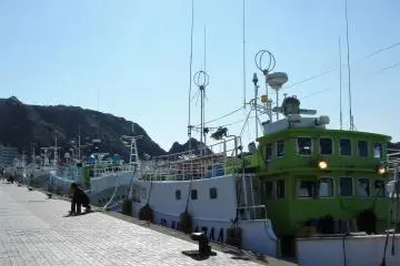 Fishing boats by the pier waiting for their next run