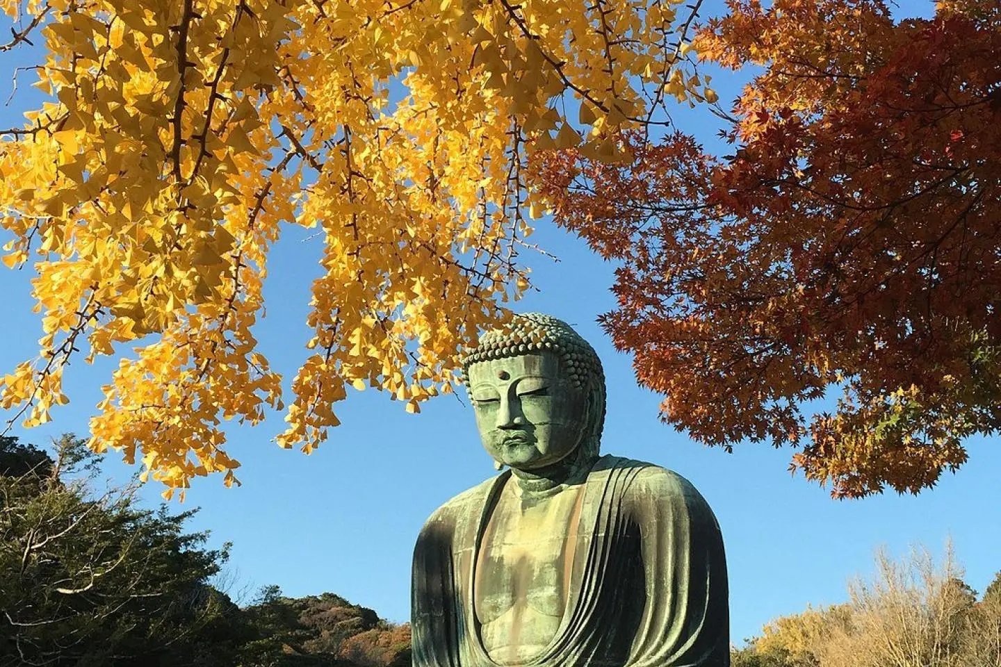 Kōtoku-in Temple is popular year-round, but autumn adds an extra something special (Photo: ::::=UT=::: / CC BY-SA 3.0)