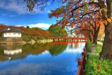 Vibrant colors around Odawara Castle